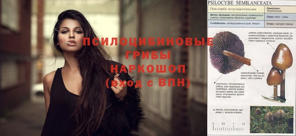 шишки Мегион