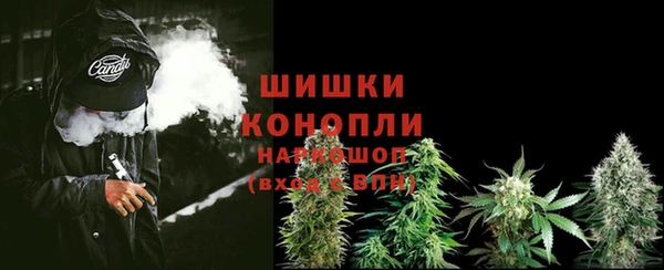 шишки Мегион