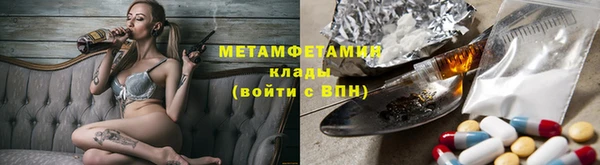 шишки Мегион