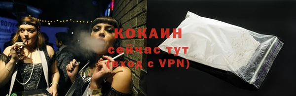 шишки Мегион