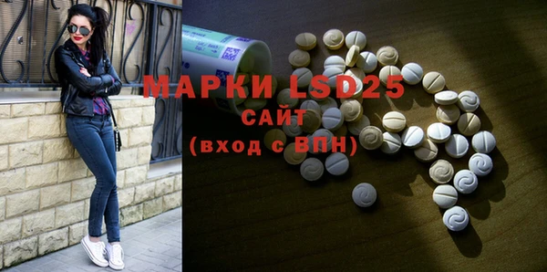 шишки Мегион