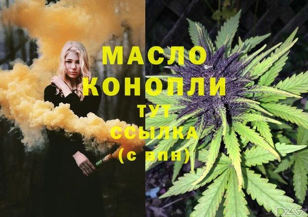 шишки Мегион