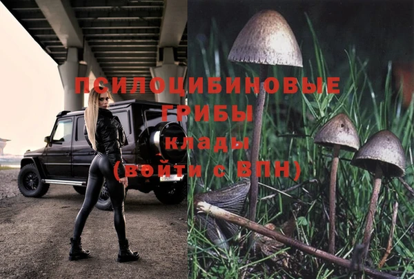 герыч Михайлов